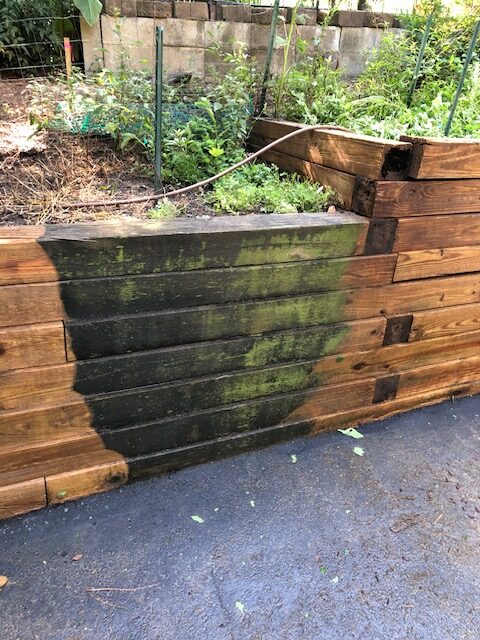 Wall